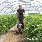 113969 AL-KO MH 350-9 LM